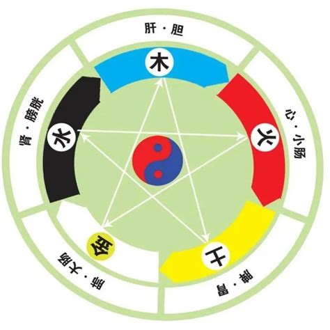 五行是哪五行|五行